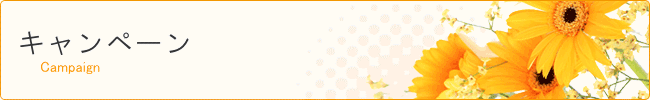 キャンペーン